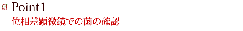 Point1 位相差顕微鏡での菌の確認