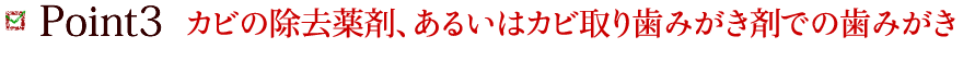 Point3 カビの除去薬剤、あるいはカビ取り歯みがき剤での歯みがき